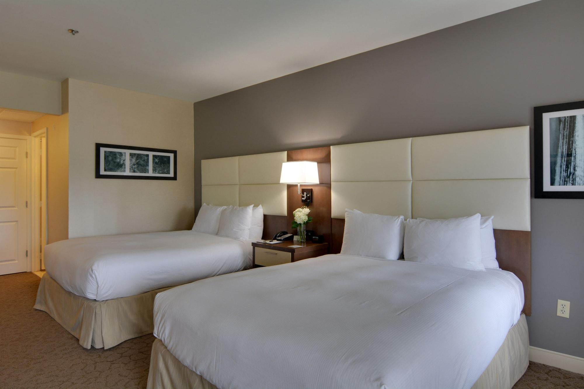 Doubletree By Hilton Hotel וויליאמסבורג מראה חיצוני תמונה